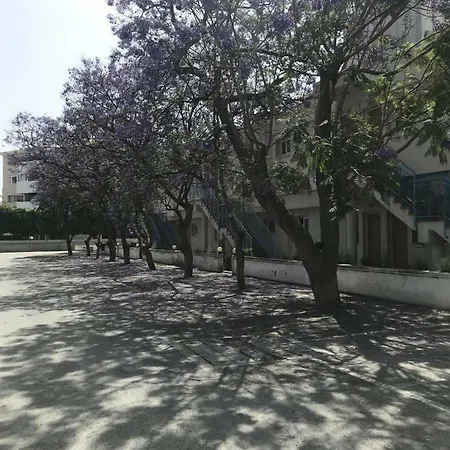 Palm Beach Apt Apartment Limassol
